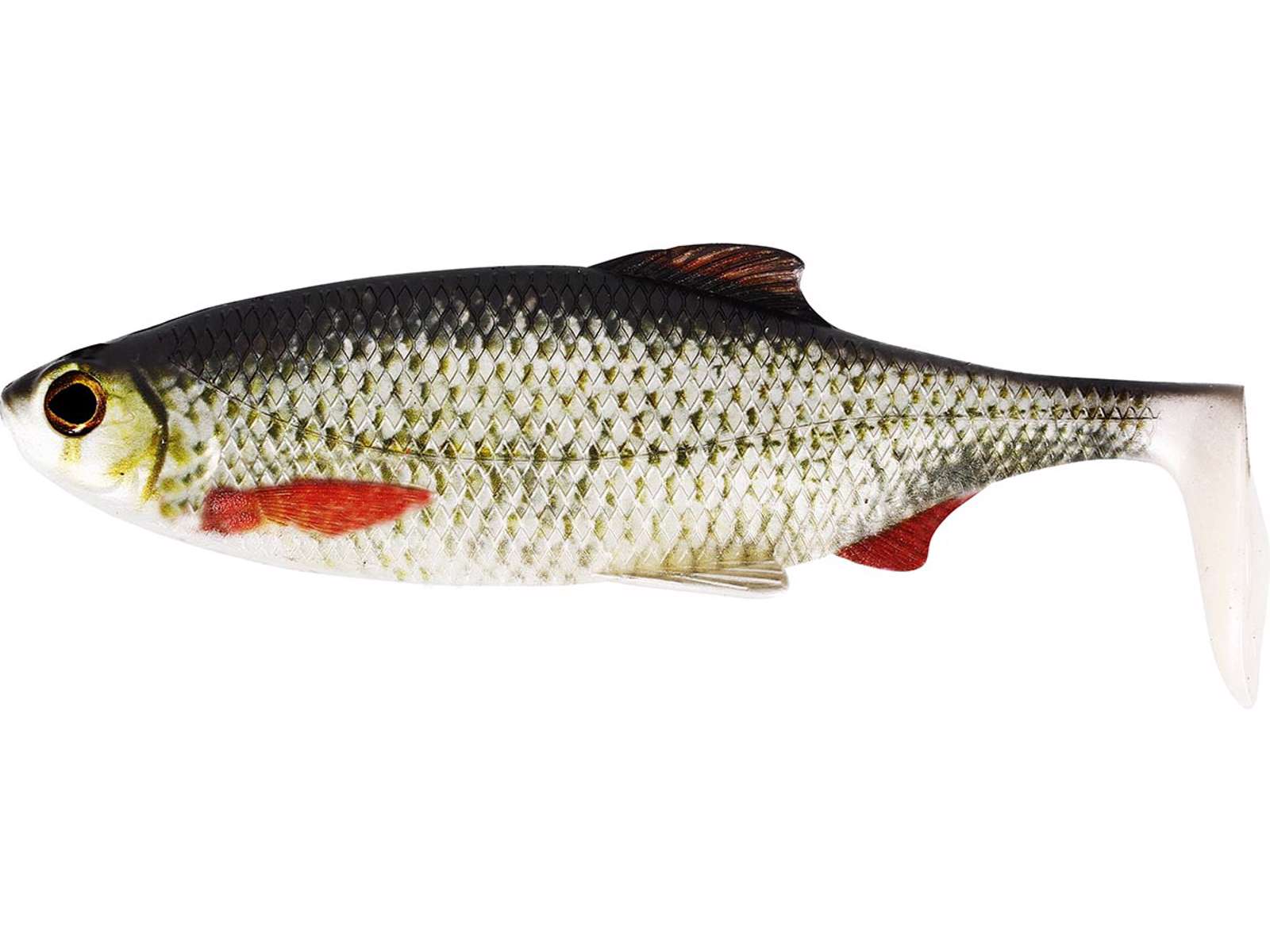 Westin Ricky The Roach Shadtail Fishing Lures - All Sizes - Picture 3 of 11
