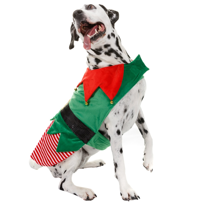 Christmas Novelty Pet Dog Costumes Xmas Festive Fancy Dress Outfits eBay