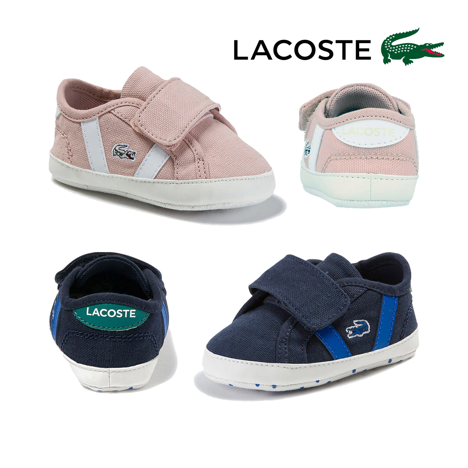 my lacoste