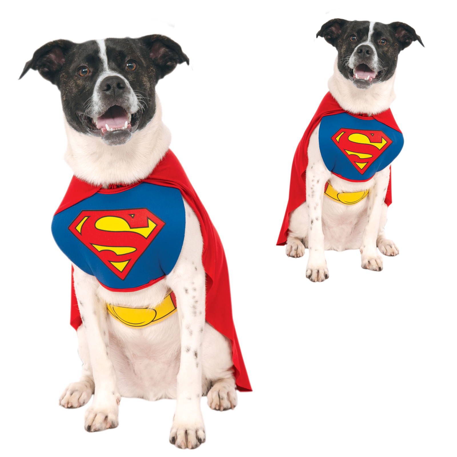 Rubies Official Superhero Dog Fancy Dress Costume Animal Halloween Pet
