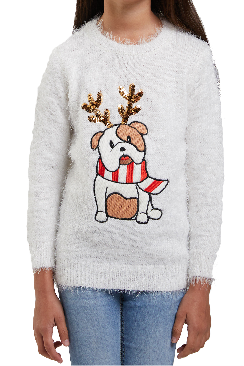 christmas jumper for bulldog