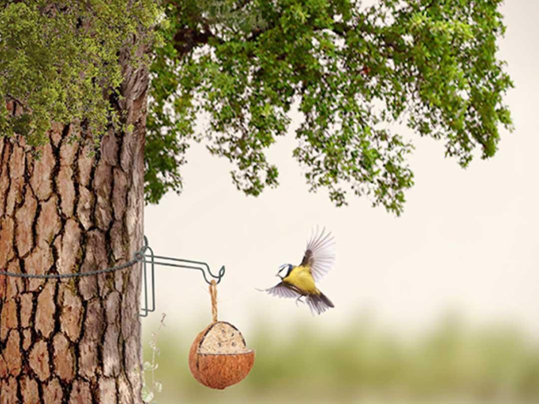 Bird Feeder Tree Hook Chain Fallen Fruits Hanging Feeder Hook Garden