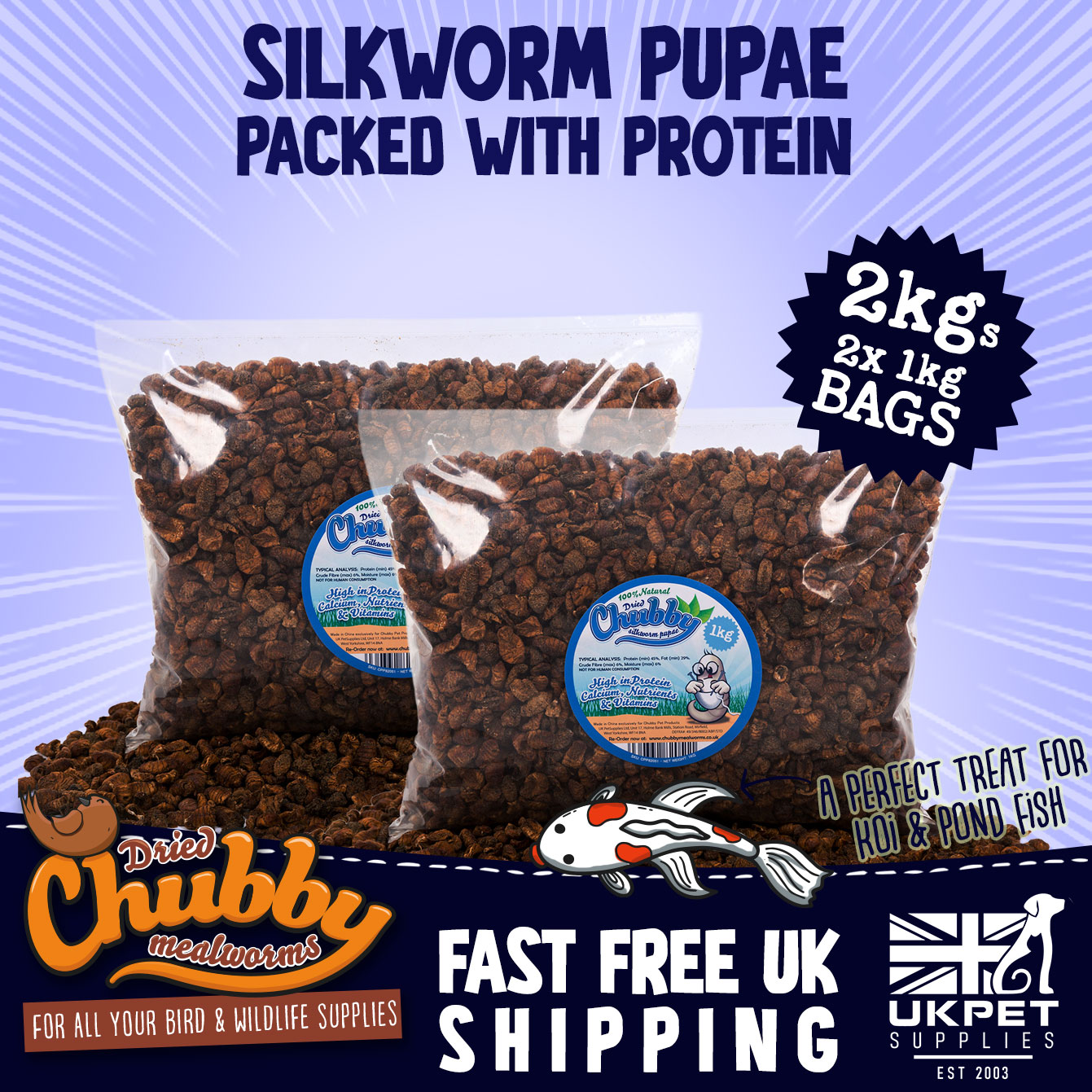 Dried Silkworm Pupae Koi Fish Food 2kg Turtle Terrapin Reptile Wild Bird Treat