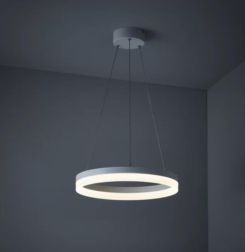Dsi Lighting Modern Integrated Led Ring Frosted Ceiling Light