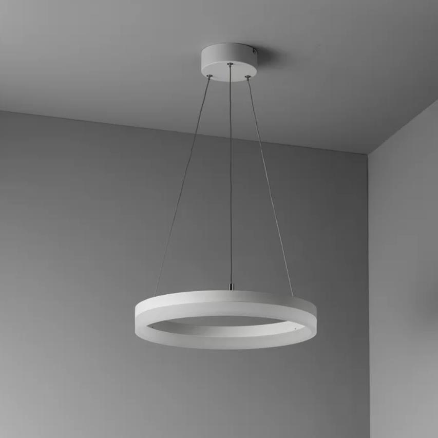 Dsi Lighting Modern Integrated Led Ring Frosted Ceiling Light