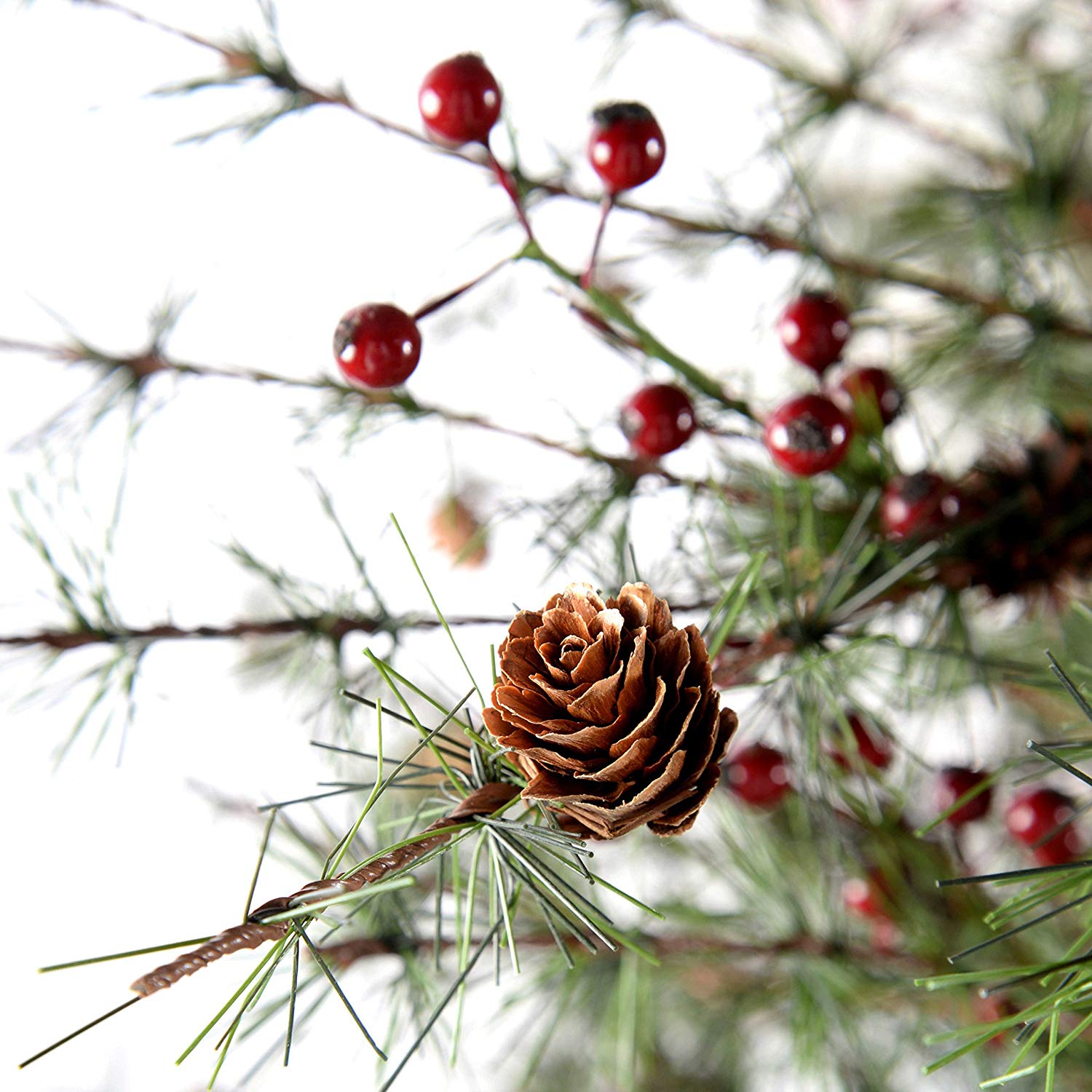 List 93+ Pictures red berries on pine tree Updated