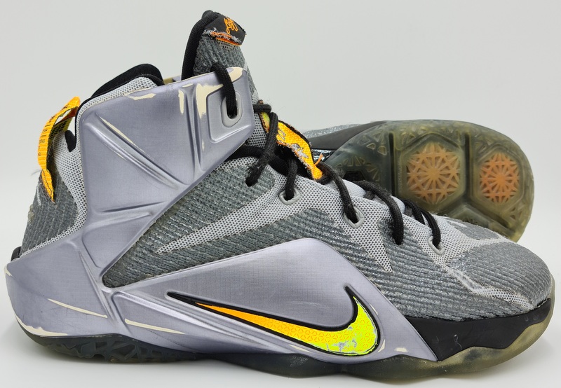 lebron 12 flight
