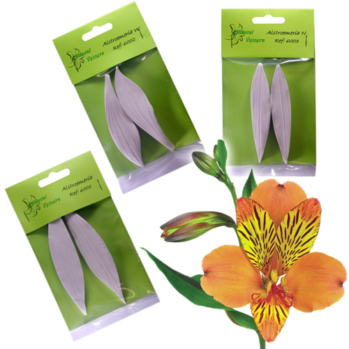 Aldaval Alstroemeria